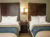 Номер Стандарт