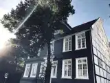 Одноместный люкс Premium