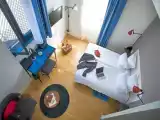 Двухместный полулюкс