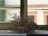 Двухместный люкс