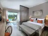 Двухместный люкс Executive