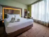 Двухместный номер Premier с видом на парк