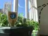 Run of House