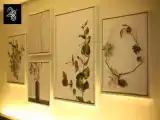 Номер Deluxe