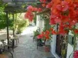 Run of House