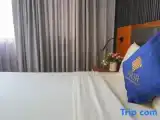 Номер Стандарт