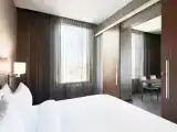 Люкс Executive c 1 комнатой с видом на город