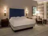 Двухместный номер Deluxe
