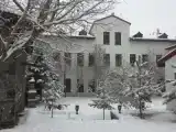 Run of House