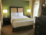 Студия Deluxe