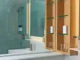 Двухместный люкс Premier c 1 комнатой