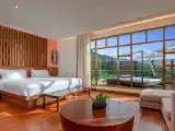 Savoy Penthouse с панорамным видом