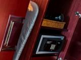 Двухместный полулюкс с видом на город