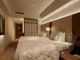 Двухместный номер Premier