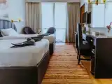 Двухместный номер Deluxe с видом на реку Нил