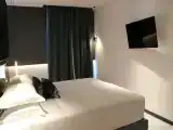 Двухместный полулюкс
