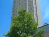 Номер Executive