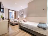 Трёхместный номер Superior