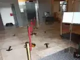 Двухместный полулюкс