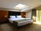Номер Deluxe с балконом и с видом на город