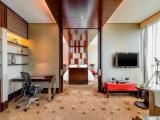 Двухместный люкс Club Lounge Access Renewal с видом на город