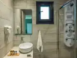 Полулюкс Цокольный этаж с видом на сад