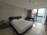 Двухместная студия Premier