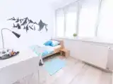 Одноместный номер Стандарт с видом на сад