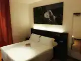 Двухместный