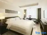 Двухместный номер Business