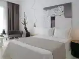 Одноместный номер Deluxe с видом на сад