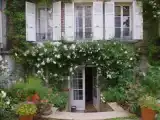 Run of House