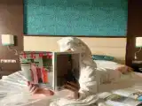 Двухместный номер Deluxe с балконом и с видом на озеро