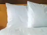 Номер Premium