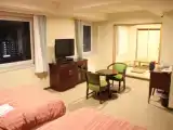 Одноместный семейный номер Стандарт