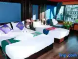 Двухместный номер Deluxe с балконом и с видом на город