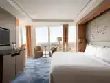 Двухместный номер Premier с видом на город