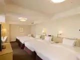 Номер Стандарт с видом на окрестности