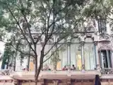 Run of House