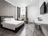 Двухместный номер Premier с видом на город