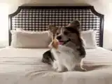 Двухместный номер Стандарт с видом на внутренний двор