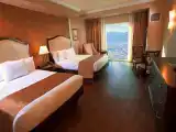 Номер Premium