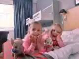 Семейный номер Стандарт