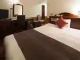 Одноместный номер Deluxe