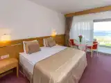 Двухместный номер с балконом и с частичным видом на море