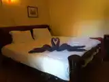 Run of House