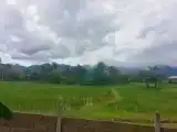 Коттедж Стандарт с балконом