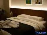 Семейная студия