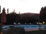 Run of House