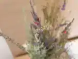 Номер Эконом